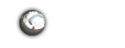 flash version